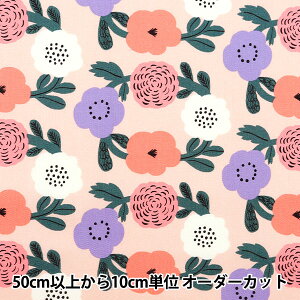 y5z n wkippis (LbsX) IbNX Ԋ sN KPO-79Ax