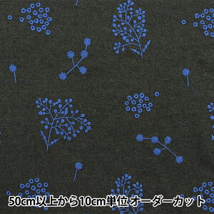 y5z n wechino (G`m) rGۋN hJ{^jJ `R[O[×u[ EKX-98080-80Cx KOKKA RbJ