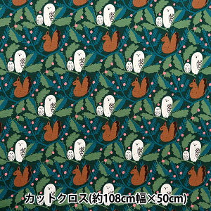 n wkippis (LbsX) IbNX JbgNX 108×50cm X̕a O[ KPOK-84Ax