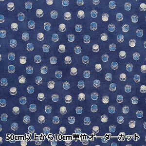 y5z n wȖV[`O Posey 䕿 lCr[ YGA-79060-1Dx KOKKA RbJ