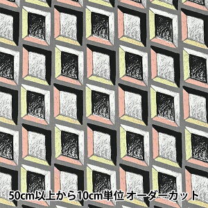 y5z n wKESHIKI ȖrG EChE EKX-4500-1Cx KOKKA RbJ
