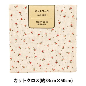 n wpb`[N JbgNX 33cm×50cm uW sN C-DG10654S-Ax