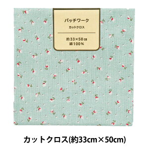 n wpb`[N JbgNX 33cm×50cm uW Cgu[ C-DG10654S-Ex