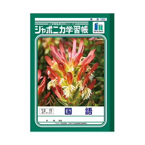 m[g w 12s B5 c[_[ JL-11x VEm[g