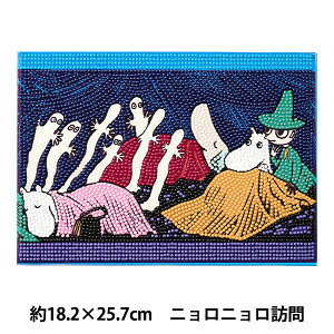 r[YLbg w_ChtBbNX [~A[gRNV jjK DFB5-MM001x