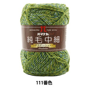 H~ю wђ (Of[V) 111ԐFx Hamanaka n}iJ