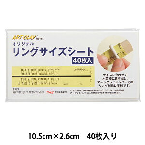 SyH wIWiOTCYV[g R-0200x ART CLAY SILVER A[gNCVo[