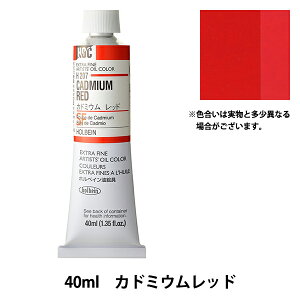 G wG HOC9 H207 Jh~Ebhx HOLBEIN zxC