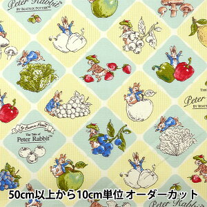 y5z n wIbNX s[^[rbg t[c&xW ^C CG[ PRO-11Bx