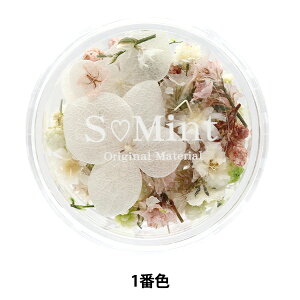 Wޗ whCt[ ~bNXt[V[Y4 1ԐF MF4-1x SMint GX~g