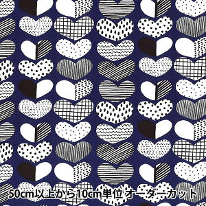 y5z n wkippis (LbsX) IbNX n[g lCr[ KPO-17Ax