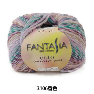 H~ю wFANTASIA CLIO (t@^WA NCI) 3106ԐFx SKIYARN XL[[