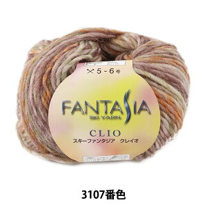 秋冬毛糸 『FANTASIA CLIO (ファンタジア クレイオ) 3107番色』 SKIYARN スキーヤーン