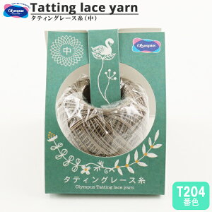 [X w^eBO[X () T204ԐFx Olympus IpX