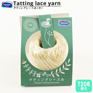 [X w^eBO[X () T206ԐFx Olympus IpX