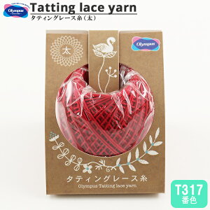 [X w^eBO[X () T317ԐFx Olympus IpX