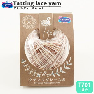 [X w^eBO[X () Jt T701ԐFx Olympus IpX