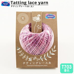 [X w^eBO[X () Jt T703ԐFx Olympus IpX