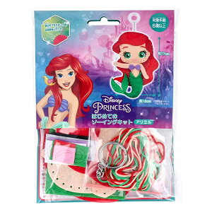 |Lbg w͂߂Ẵ\[COLbg fBYj[vZX AGx