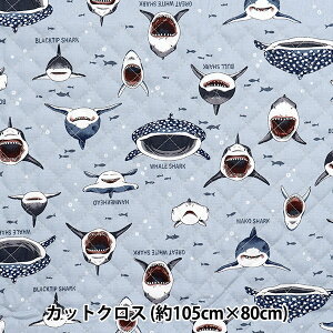 n wJtLoXIbNXLg TTV[N JbgNX 105×80cm NX~u[ QCOCANSHA-KBLx KOKKA RbJ