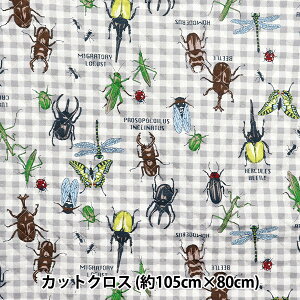 n wJtLoXIbNXLg X̃q[[ JbgNX 105×80cm O[ QCOCANHERO-GYx KOKKA RbJ