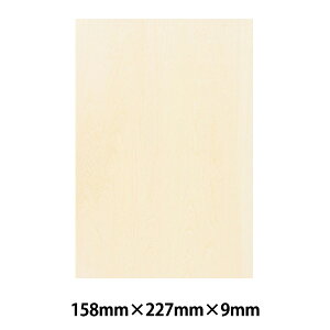 �ō� �w�Ŗ� �x�j�� SM�x HOLBEIN �z���x�C��