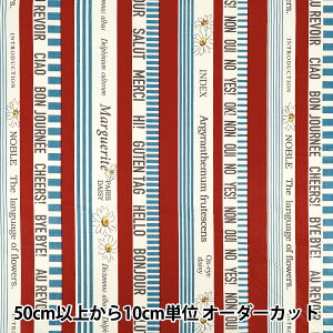 �y����5����z ���n �w���֗�q �V���[�e�B���O �X�g���C�v SZ824971-C�x YUWA �L�֏��X