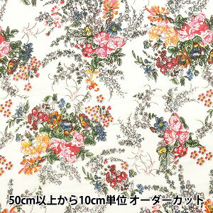 y5z n wCh{Cvg v@X AC{[ 2650101-IVx