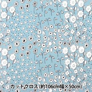 n wkippis (LbsX) V[`O JbgNX 110×50cm n ~YC KPSK-81Ax