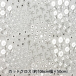 n wkippis (LbsX) V[`O JbgNX 110×50cm n CgO[ KPSK-81Bx