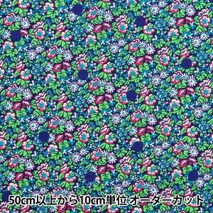 y5z n woeBEt@ubNX ^i[ AoTX|bg DC33571-WEx Liberty Japan oeBWp