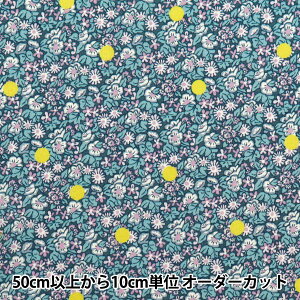 y5z n woeBEt@ubNX ^i[ AoTX|bg DC33571-XEx Liberty Japan oeBWp