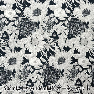 y5z n woeBEt@ubNX 11z XC_NA 5672151S-J25Ex Liberty Japan oeBWp