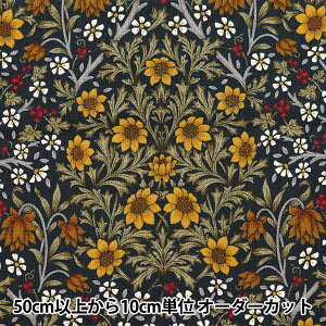 y5z n wRbgLoX ԕ D KTS6994-Dx COTTON KOBAYASHI Rbg΂₵ ё@