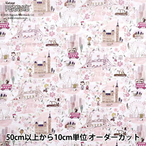 y5z n woeBEt@ubNX ^i[ AEhEAhx`[ DC33934-J25Bx Liberty Japan oeBWp