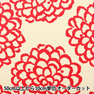 y5z n wcCvgn _UP5540 n z Rbg  w CeA ×x COTTON KOBAYASHI Rbg΂₵ ё@