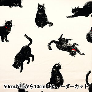 y5z n wIbNX L AP45109-1Ax