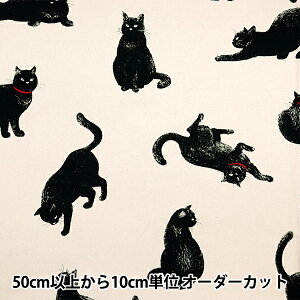 y5z n wIbNX L AP45109-1Bx