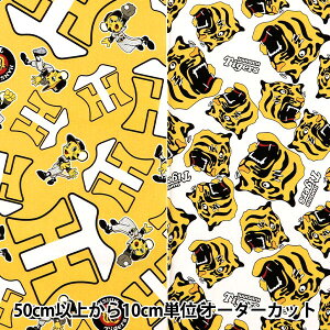 y5z n wu[h _^CK[X &gbL[ CG[ B6000-1Bx