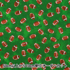 y5z n wUSARbg X[[h Or[ O[ GAIL-CD8893x