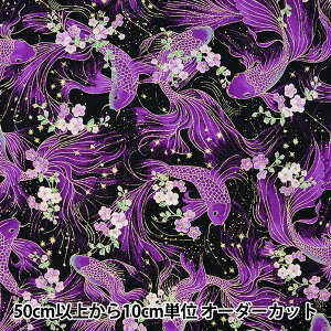 y5z n wUSARbg }WFXeBbN ƃRC FISH-CM8814x