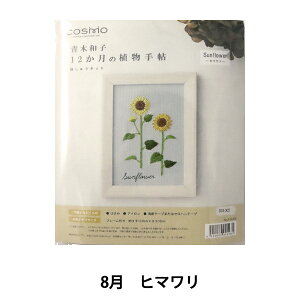 yX[p[SALEz hイLbg wؘaq12̐A蒟 q} 542008x LECIEN VA cosmo RX