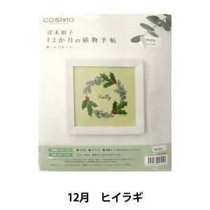 hイLbg wؘaq12̐A蒟 qCM 542012x LECIEN VA cosmo RX