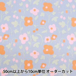 y5z n wkippis (LbsX) IbNX }b^ u[O[ KPO-88Ax