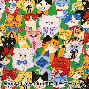 y5z n wIbNX ptAj} L O[ YGA-76080-1Cx KOKKA RbJ