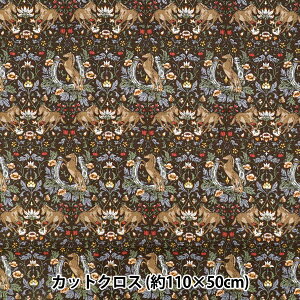 ���n �w�V�[�`���O �z�[�X�t�����[ �J�b�g�N���X ��110cm×50cm �u���E�� C-AP55103-2B�x