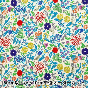 y5z n wechino (G`m) ȖV[`O Murmur Cgx[W EKX-98130-31Ax KOKKA RbJ