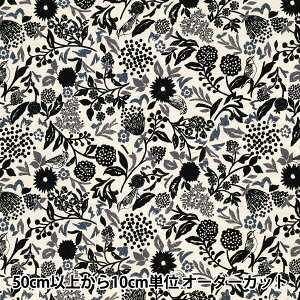 y5z n wechino (G`m) ȖV[`O Murmur zCg EKX-98130-31Bx KOKKA RbJ