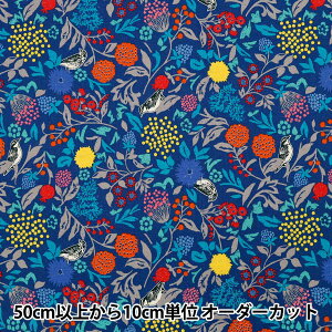 y5z n wechino (G`m) ȖV[`O Murmur lCr[ EKX-98130-31Cx KOKKA RbJ