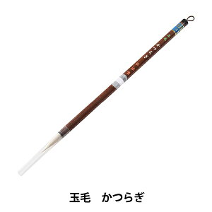M wʖ 炬x